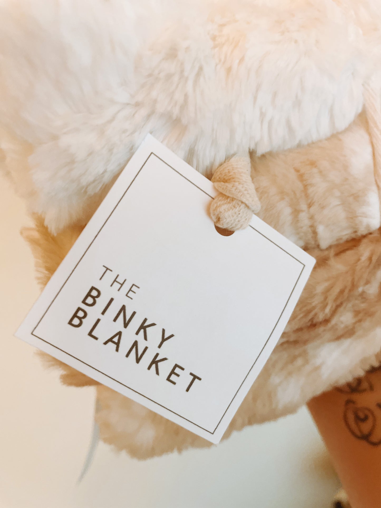 Minky Binky Blanket