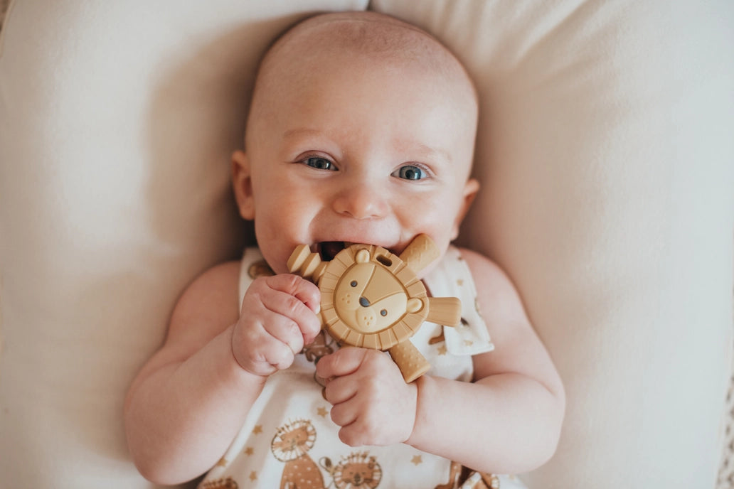 Leo the Lion Teether